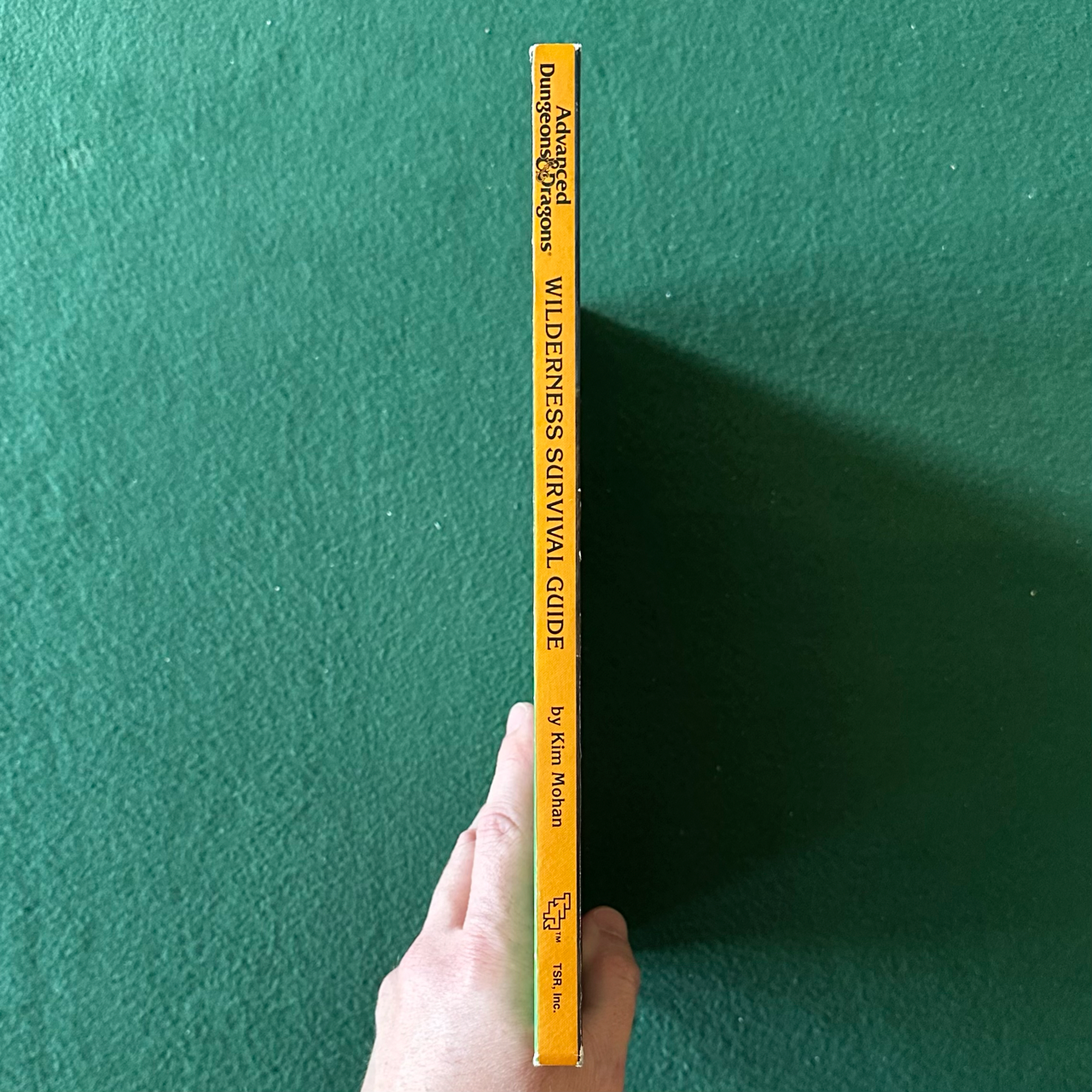 Vintage Advanced Dungeons & Dragons Accessory: Wilderness Survival Guide