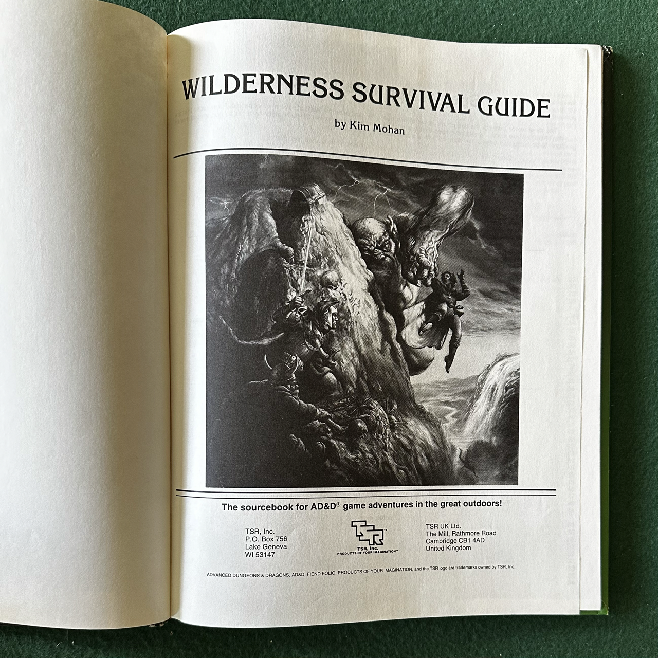 Vintage Advanced Dungeons & Dragons Accessory: Wilderness Survival Guide