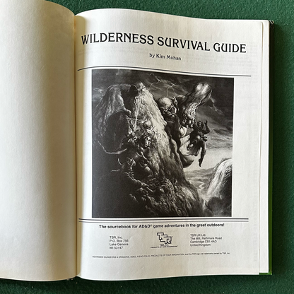 Vintage Advanced Dungeons & Dragons Accessory: Wilderness Survival Guide