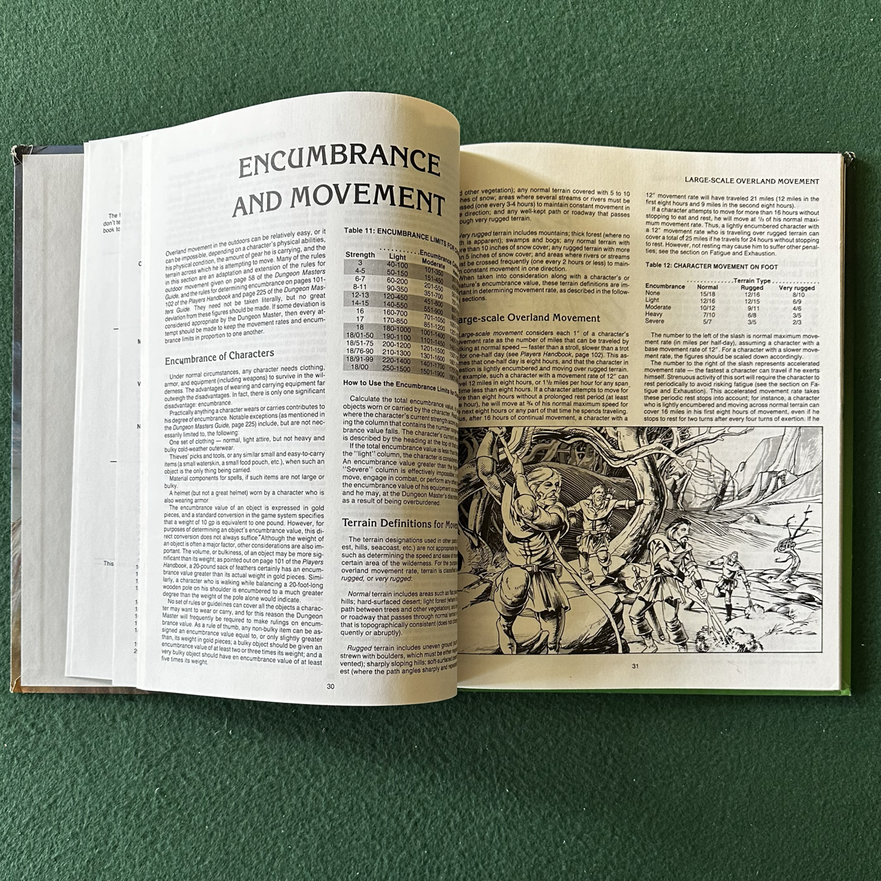 Vintage Advanced Dungeons & Dragons Accessory: Wilderness Survival Guide