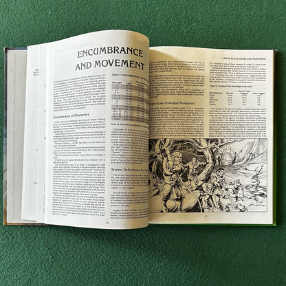 Vintage Advanced Dungeons & Dragons Accessory: Wilderness Survival Guide