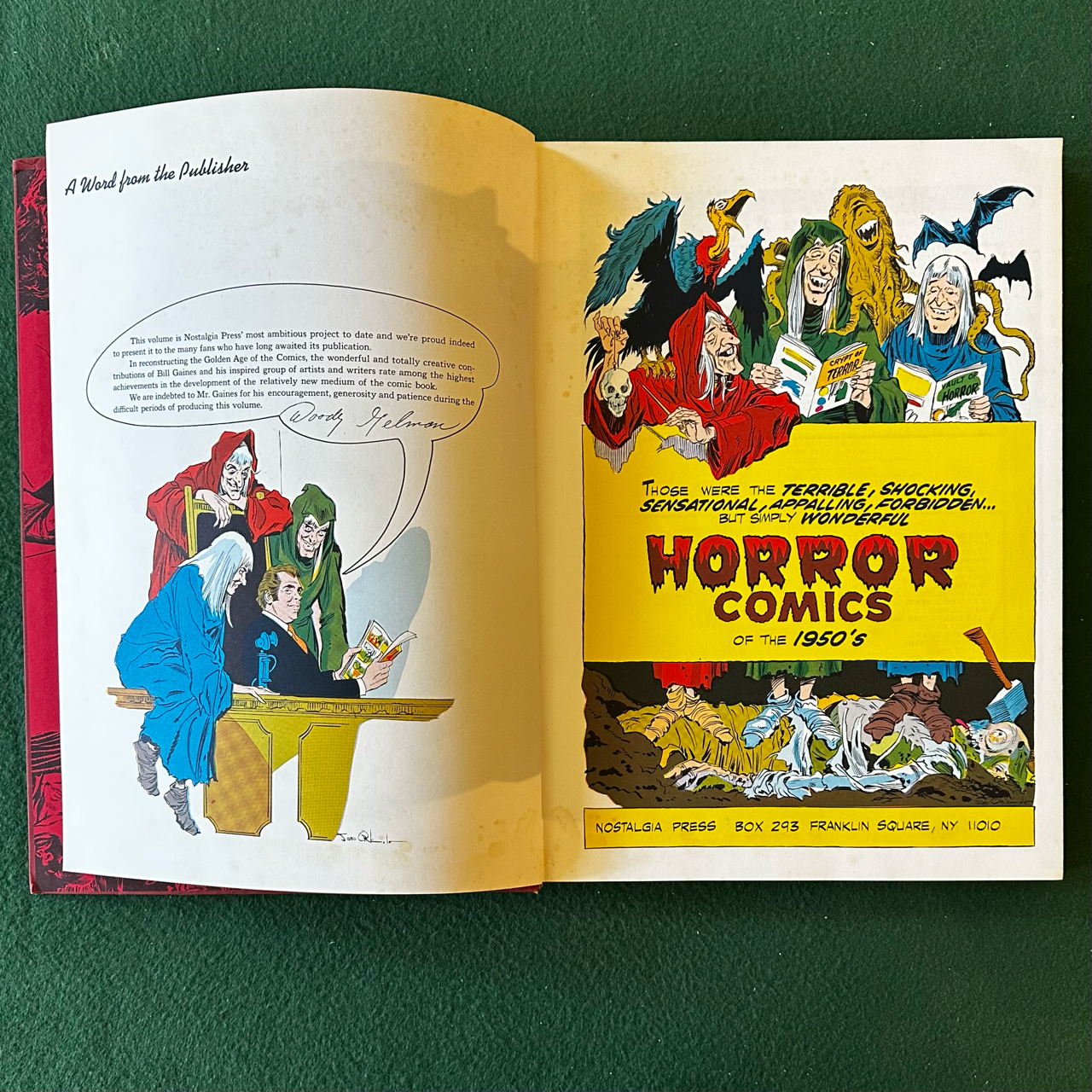 Vintage Graphic Novel Hardback: Horror Comics of the 1950's