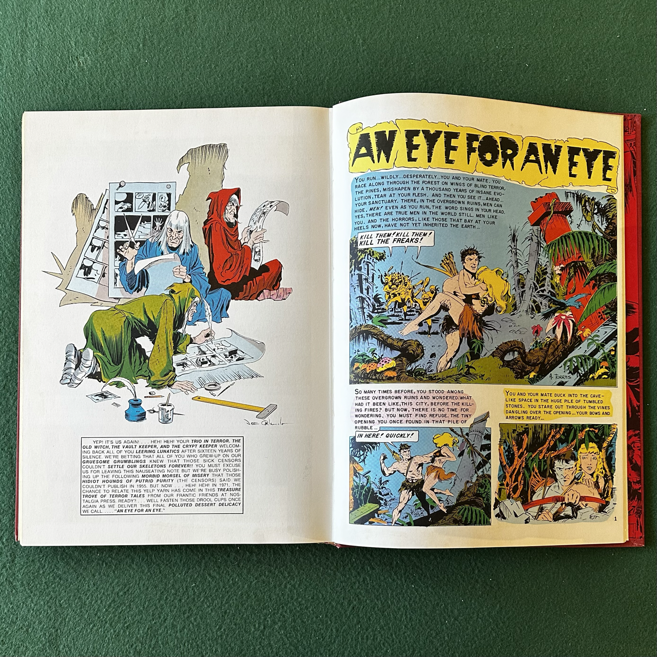 Vintage Graphic Novel Hardback: Horror Comics of the 1950's