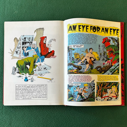 Vintage Graphic Novel Hardback: Horror Comics of the 1950's