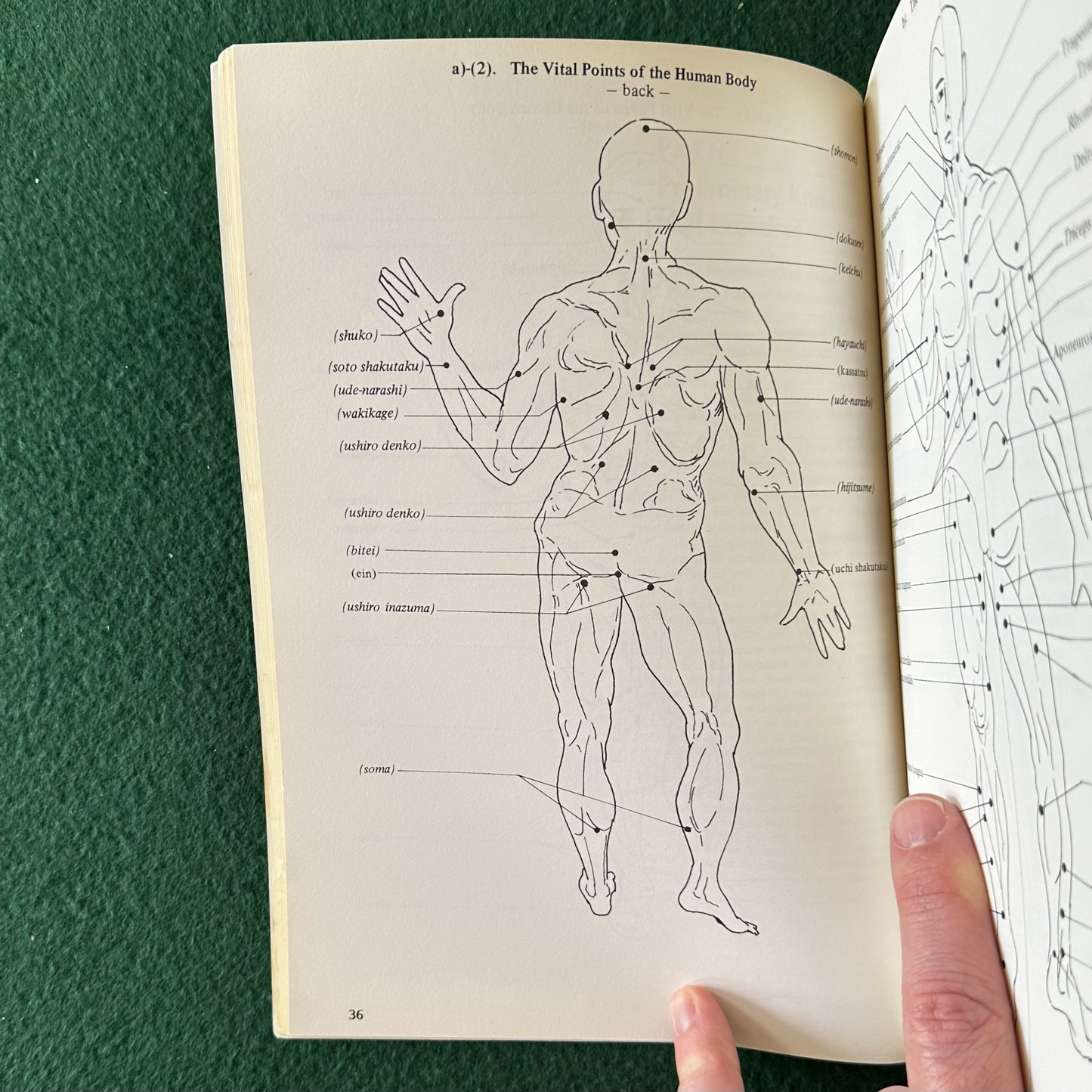 Vintage Non-Fiction Paperbacks: Morio Higaonna - Traditional Karatedo Okinawan Goju-Ryu, Books 1-4 FIRST PRINTS