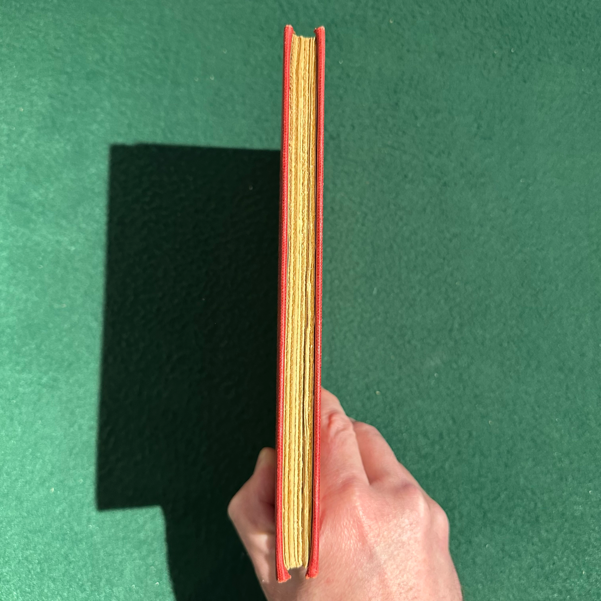 Vintage Fiction Hardback: Chard Powers Smith - The Quest for Pan FIRST EDITION