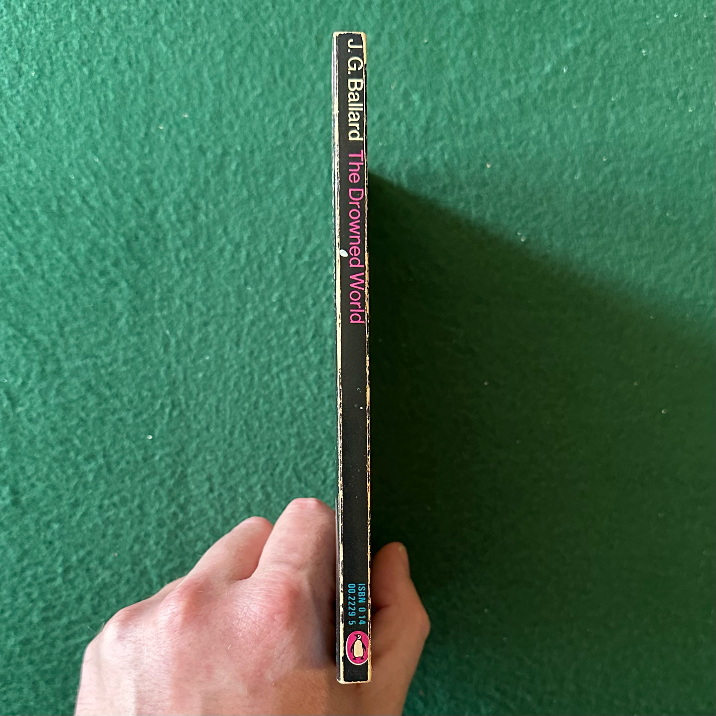 Vintage Sci-Fi Paperback: J G Ballard - The Drowned World