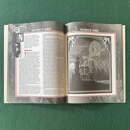 Vintage Advanced Dungeons & Dragons 2e Accessory: Ravenloft: Darklords
