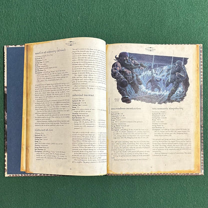 Dungeons & Dragons 3.5e Supplement: Forgotten Realms, Champions of Ruin FIRST PRINTING