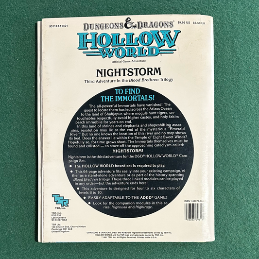 Vintage Dungeons & Dragons Adventure: Hollow World - Nightstorm