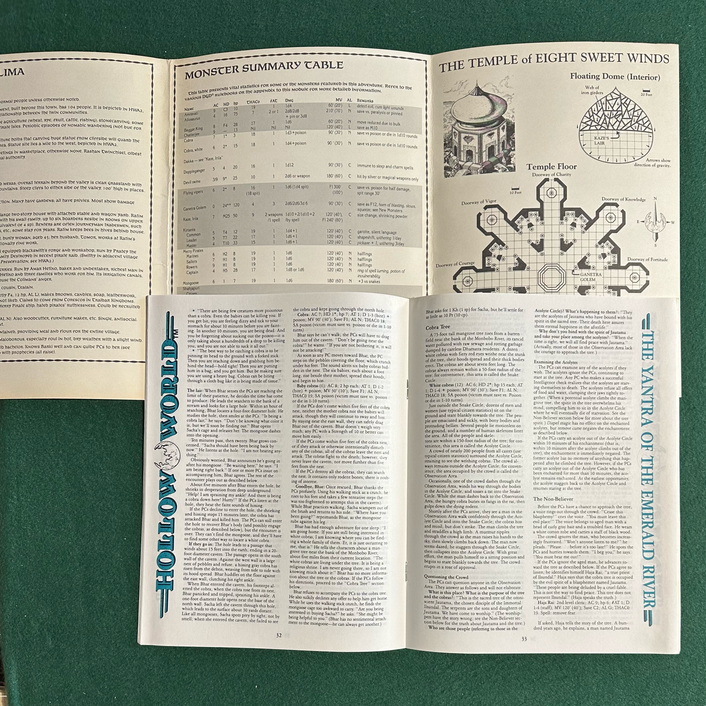 Vintage Dungeons & Dragons Adventure: Hollow World - Nightstorm