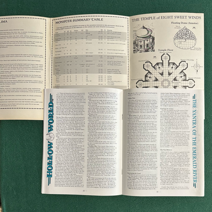 Vintage Dungeons & Dragons Adventure: Hollow World - Nightstorm