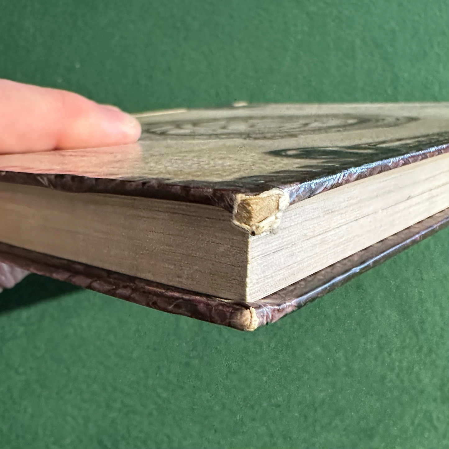 Vintage Dungeons &amp; Dragons 3.5e Campaign Setting: Forgotten Realms