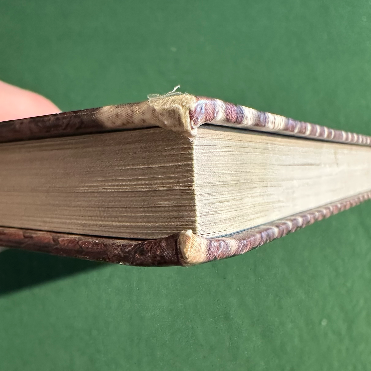 Vintage Dungeons &amp; Dragons 3.5e Campaign Setting: Forgotten Realms