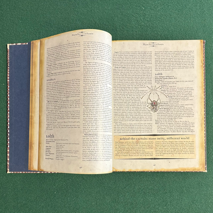 Vintage Dungeons & Dragons 3.5e Accessory: Forgotten Realms - Faiths and Pantheons FIRST PRINTING