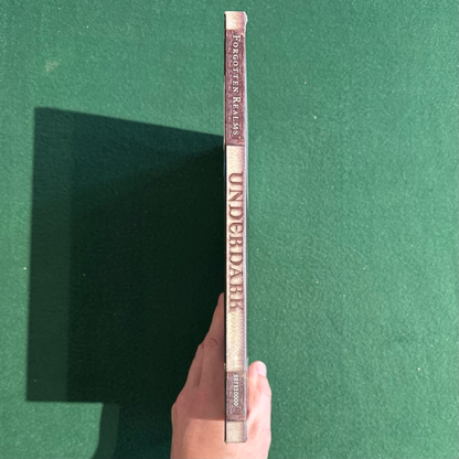 Vintage Dungeons & Dragons 3.5e Accessory: Forgotten Realms - Underdark FIRST PRINTING