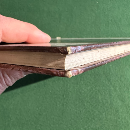 Vintage Dungeons & Dragons 3.5e Accessory: Forgotten Realms - Underdark FIRST PRINTING