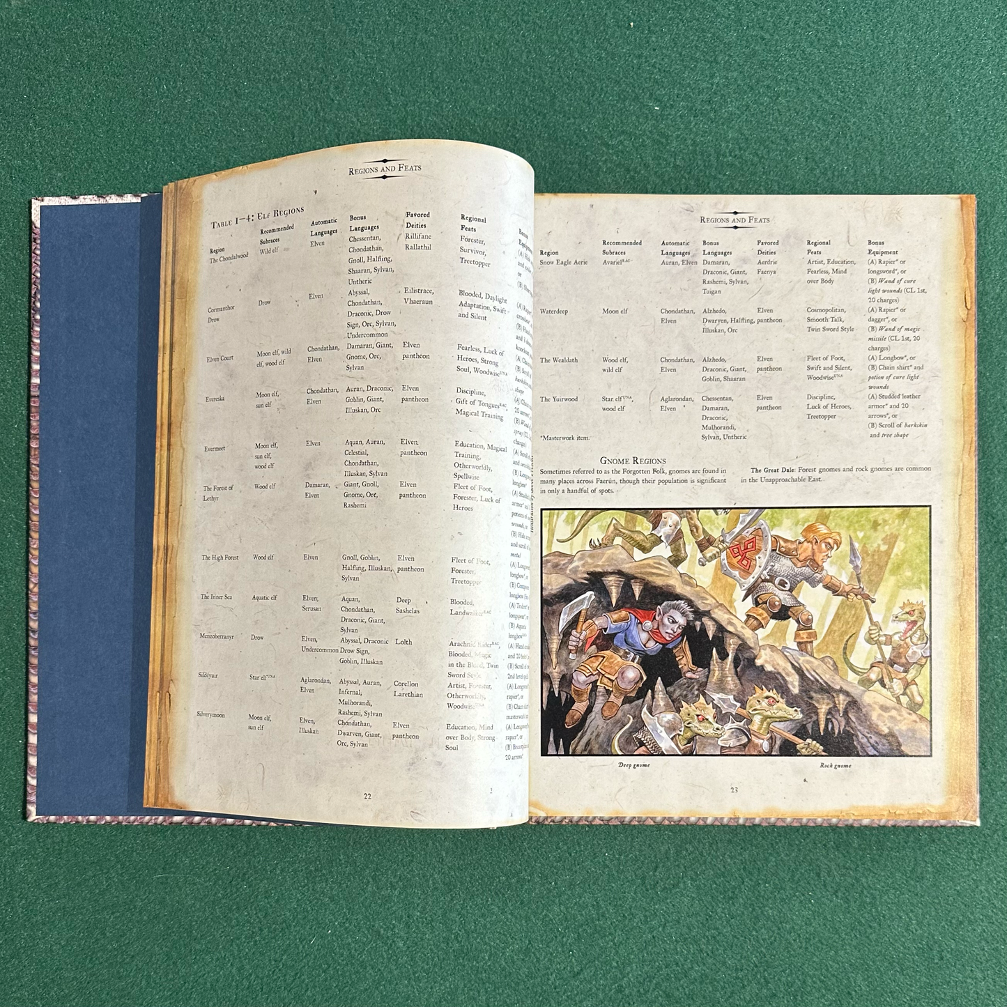 Vintage Dungeons & Dragons 3.5e Accessory: Forgotten Realms - Players Guide to Fearun FIRST PRINTING