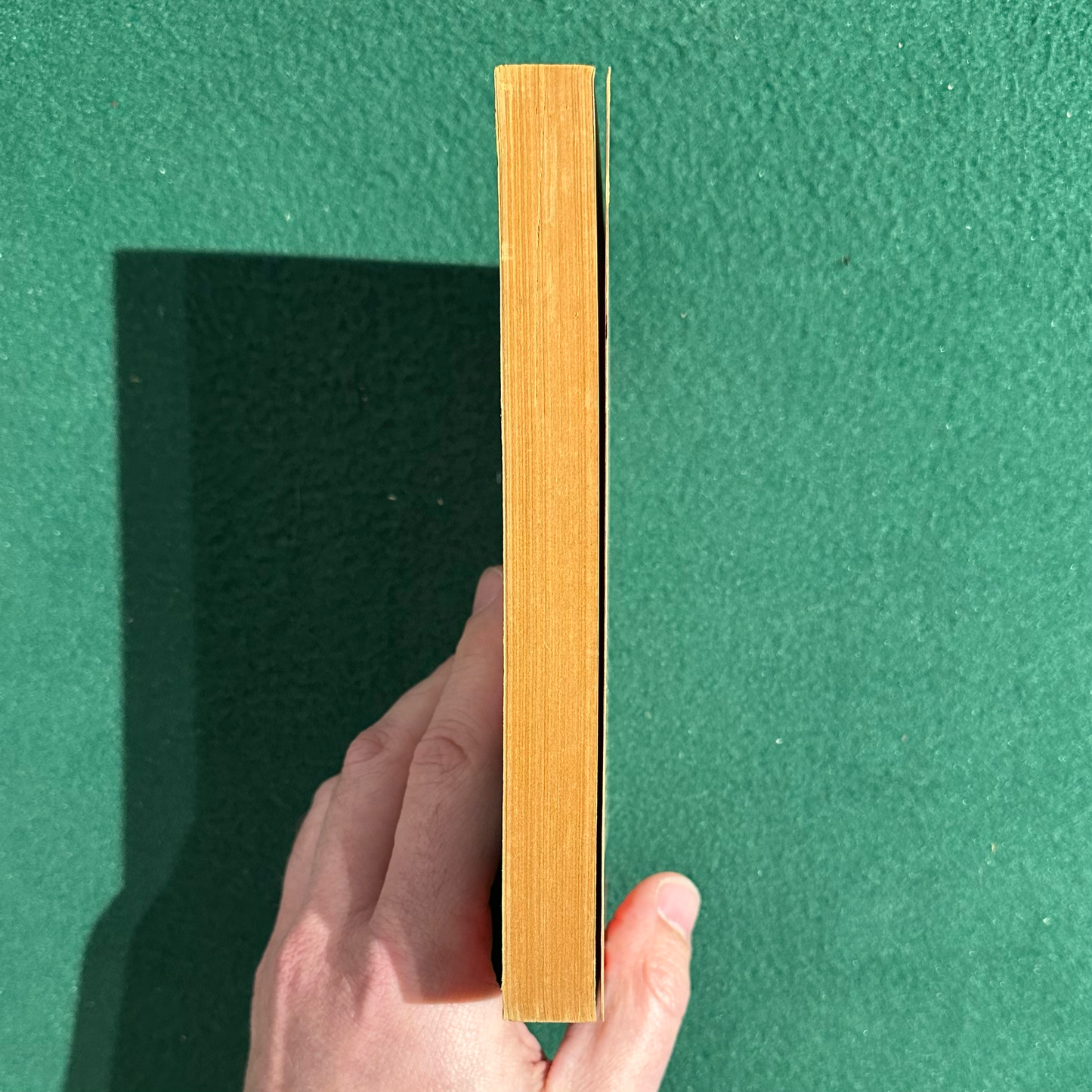 Vintage Fiction Paperback: Ignazio Silone - Bread and Wine FIRST PENGUIN EDITION