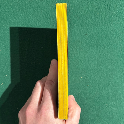 Vintage Horror Paperback: Lois Duncan - I Know What You Did Last Summer FOURTH PRINTING