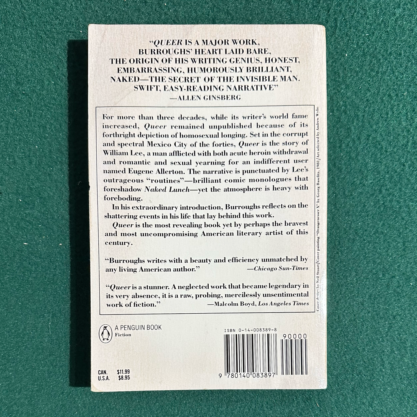 Vintage Fiction Paperback: William S Burroughs - Queer