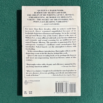 Vintage Fiction Paperback: William S Burroughs - Queer