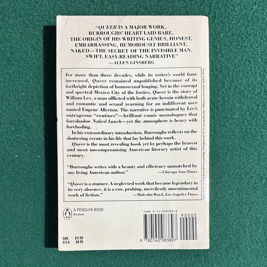 Vintage Fiction Paperback: William S Burroughs - Queer