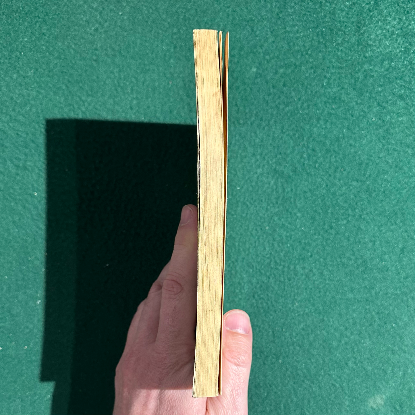 Vintage Fiction Paperback: William S Burroughs - Queer