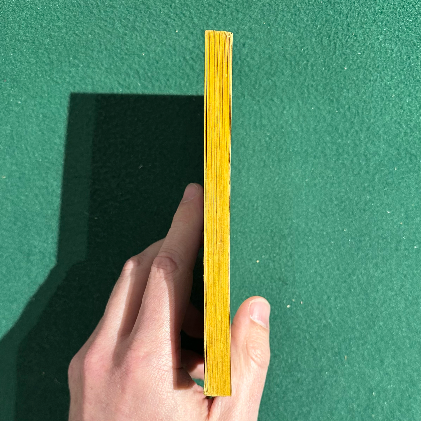 Vintage Sci-Fi Paperback: Philip K Dick - Do Androids Dream of Electric Sheep? THIRD PRINTING