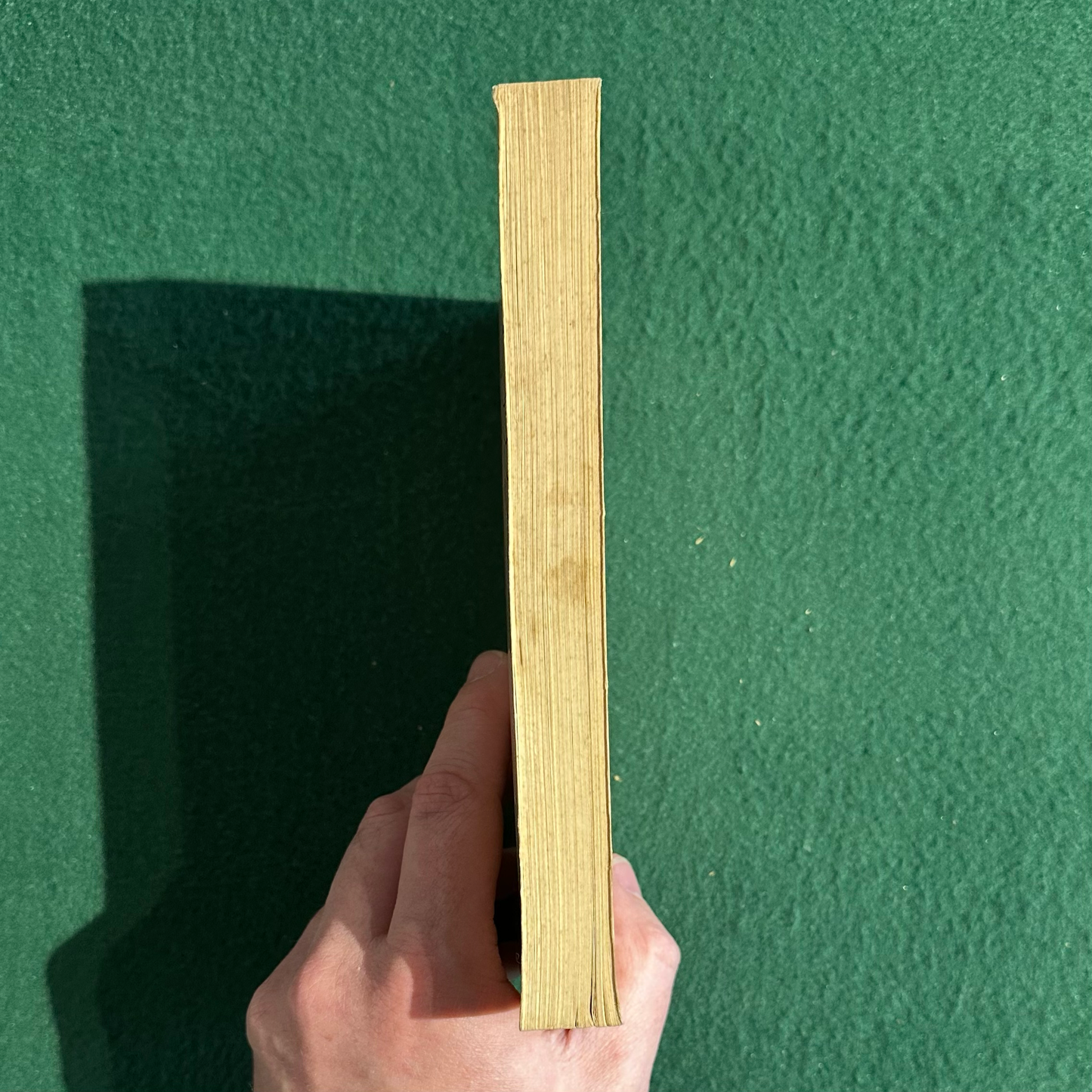 Vintage Non-Fiction Paperback: Wallace Fowlie - Mallarme THIRD PRINT