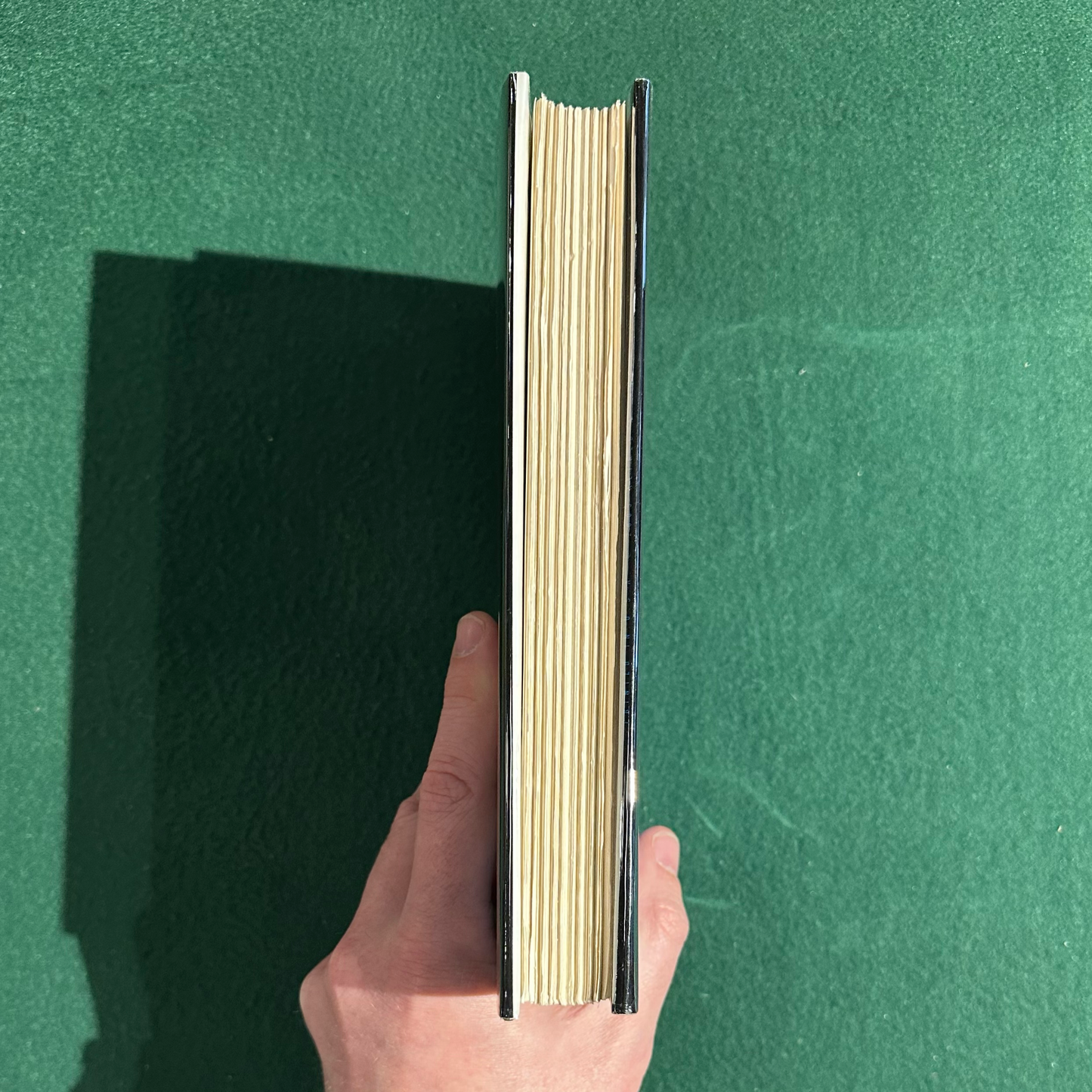 Fiction Hardback: Bret Easton Ellis - Lunar Park FIRST EDITION