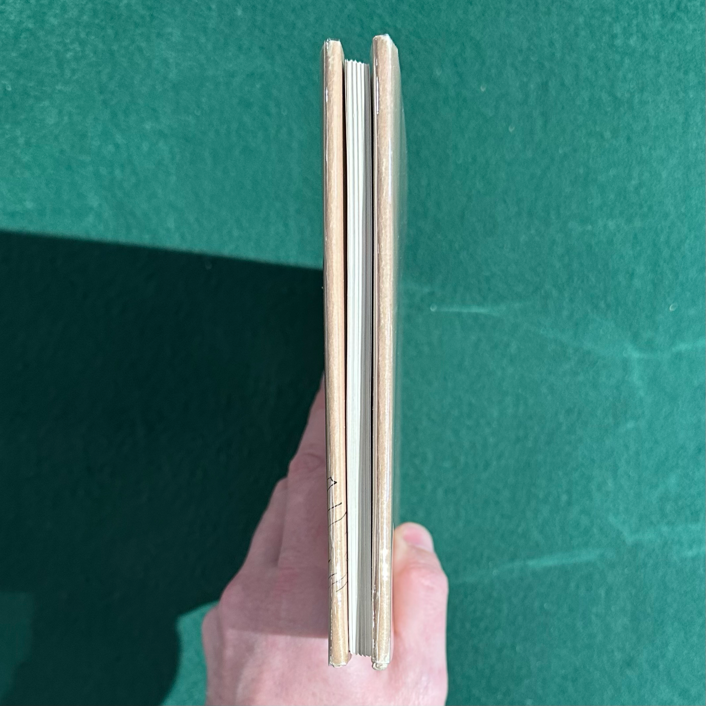 Vintage Children's Hardback: Sloan Rankin - Dink FIRST EDITION