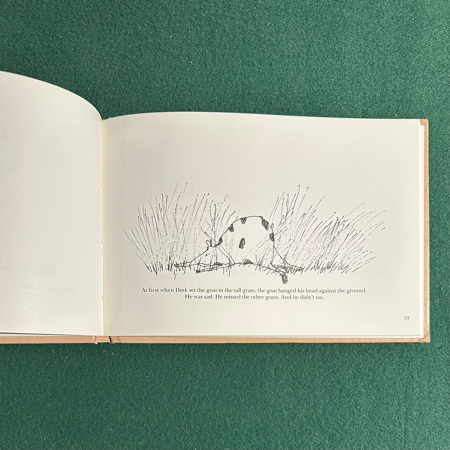 Vintage Children's Hardback: Sloan Rankin - Dink FIRST EDITION