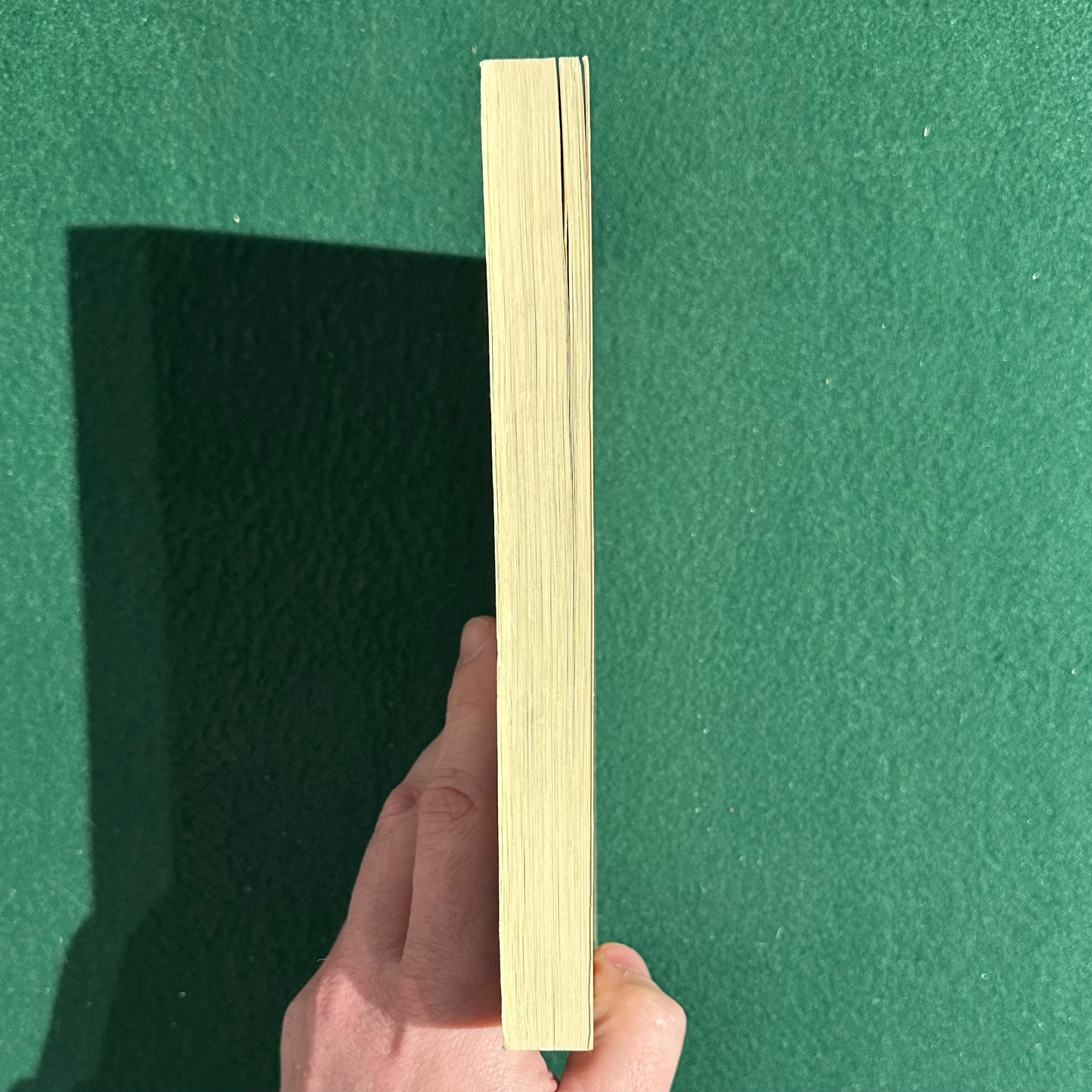 Vintage Cookbook Paperback: Ellen Gibson Wilson - A West African Cookbook FIRST PRINTING