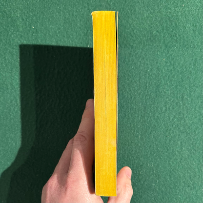 Vintage Fantasy Paperback: Terry Pratchett - The Colour of Magic THIRD PRINTING