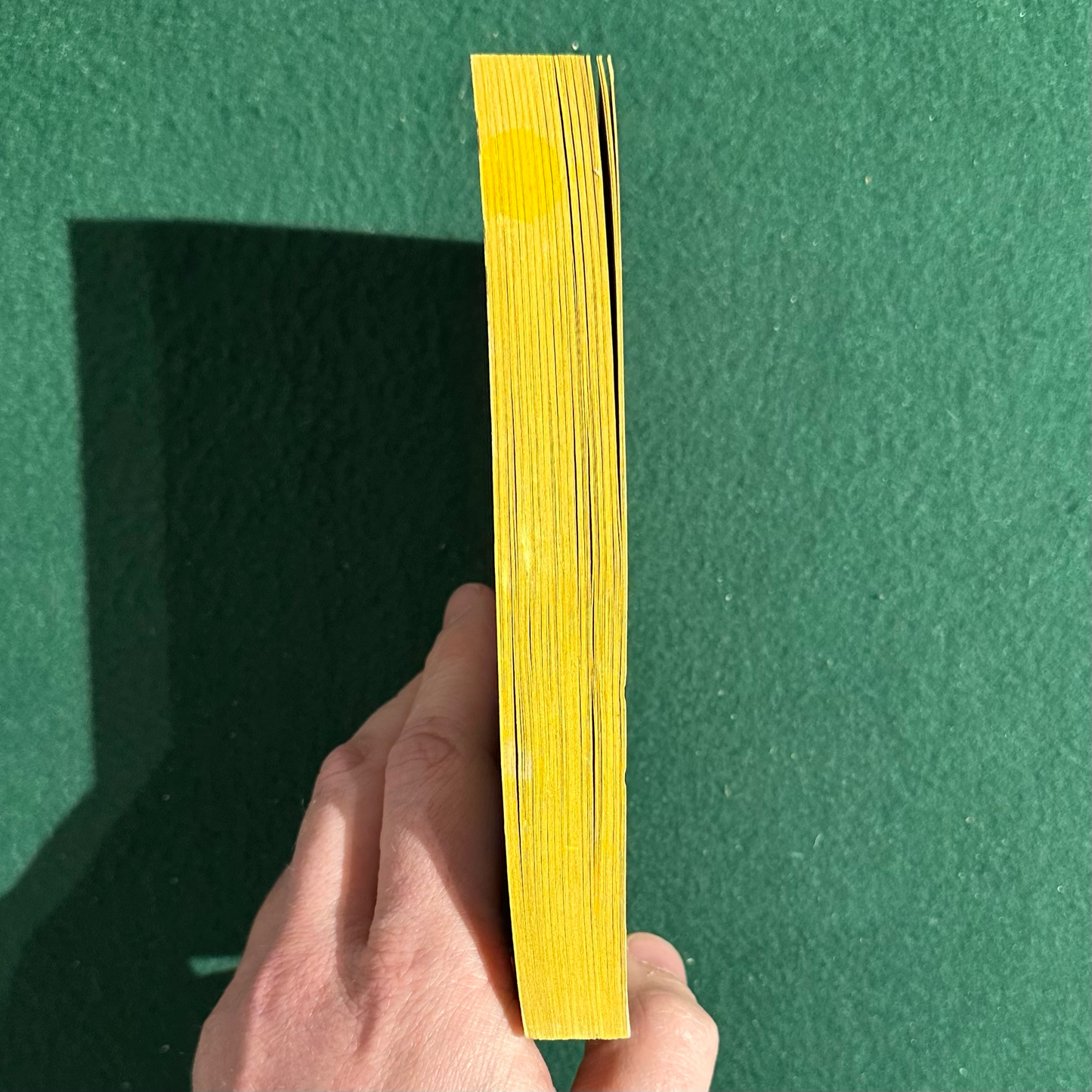 Vintage Fantasy Paperback: Terry Pratchett - Sourcery SECOND PRINTING