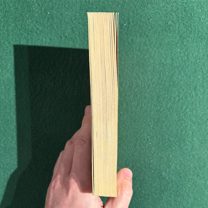 Vintage Fantasy Paperback: Terry Pratchett - Pyramids FIRST PRINTING