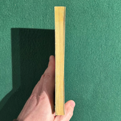 Vintage Fantasy Paperback: Terry Pratchett - Strata THIRD PRINTING