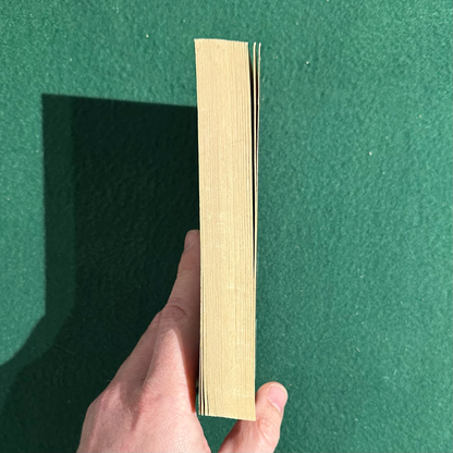 Vintage Fantasy Paperback: Terry Pratchett - Reaper Man FIRST PRINTING