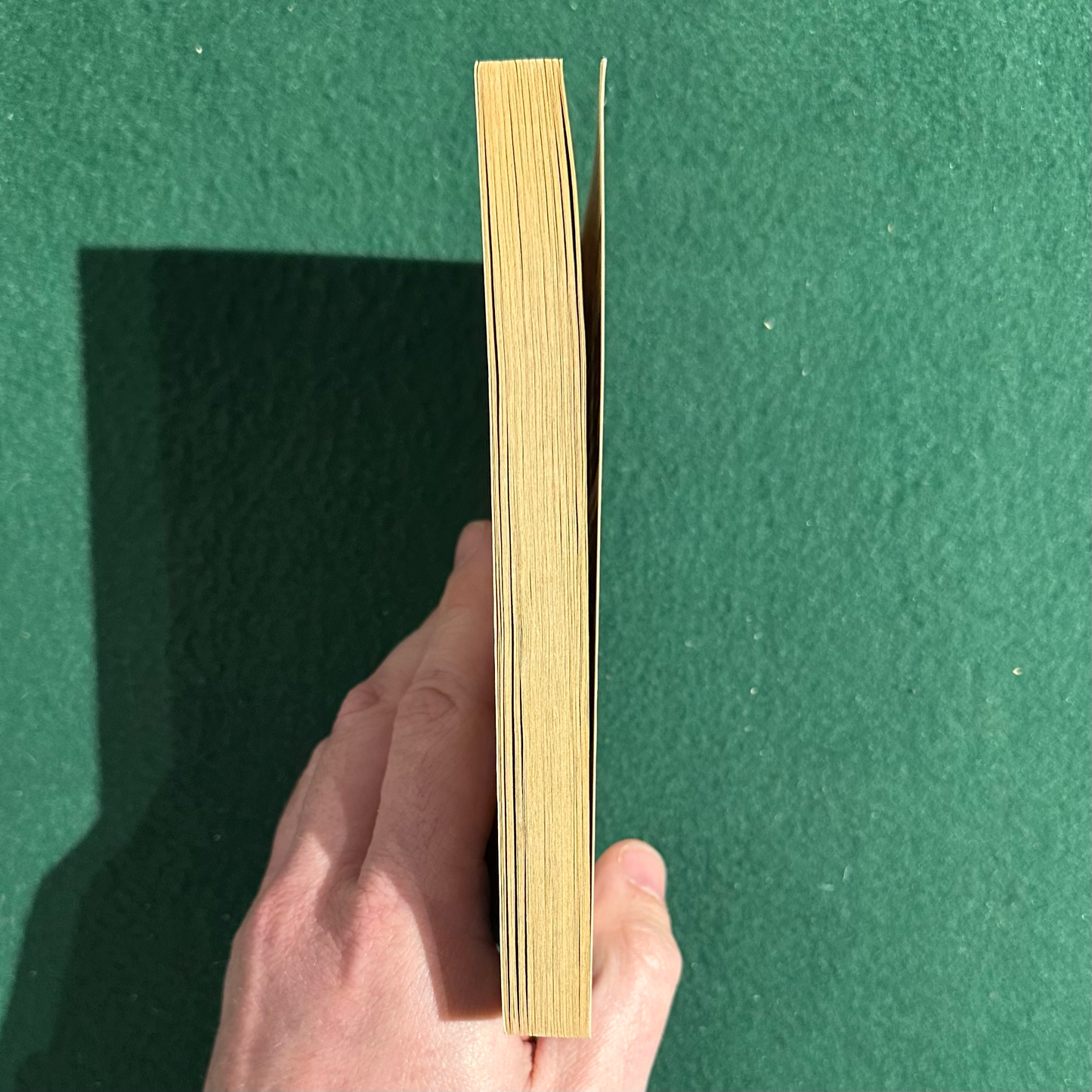 Vintage Fantasy Paperback: Terry Pratchett - Faust Eric FIRST PRINTING