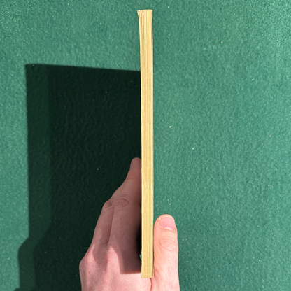 Vintage Non-Fiction Paperback: Interviews with William Carlos Williams, Edited by Linda Wagner FIRST PRINTING