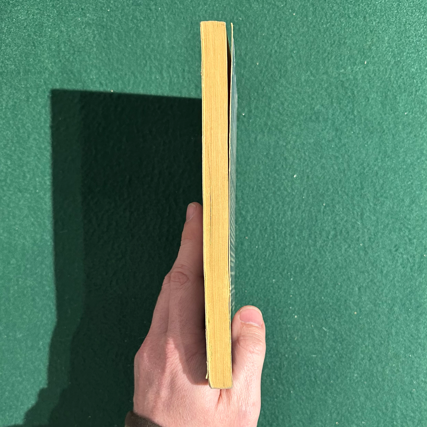 Vintage Fiction Paperback: Tobias Wolff - The Barracks Thief FIRST PRINTING