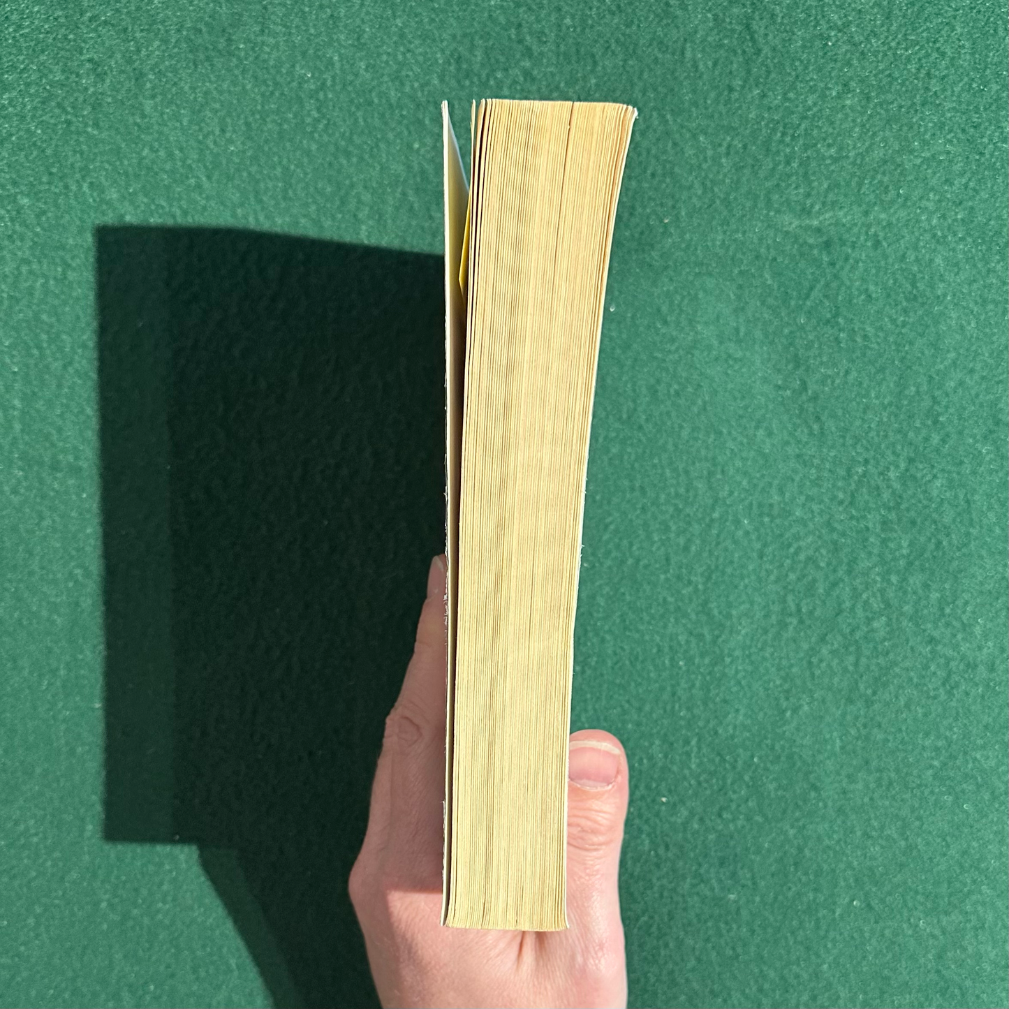 Vintage Fiction Paperback: Bret Easton Ellis - American Psycho FIRST PRINTING