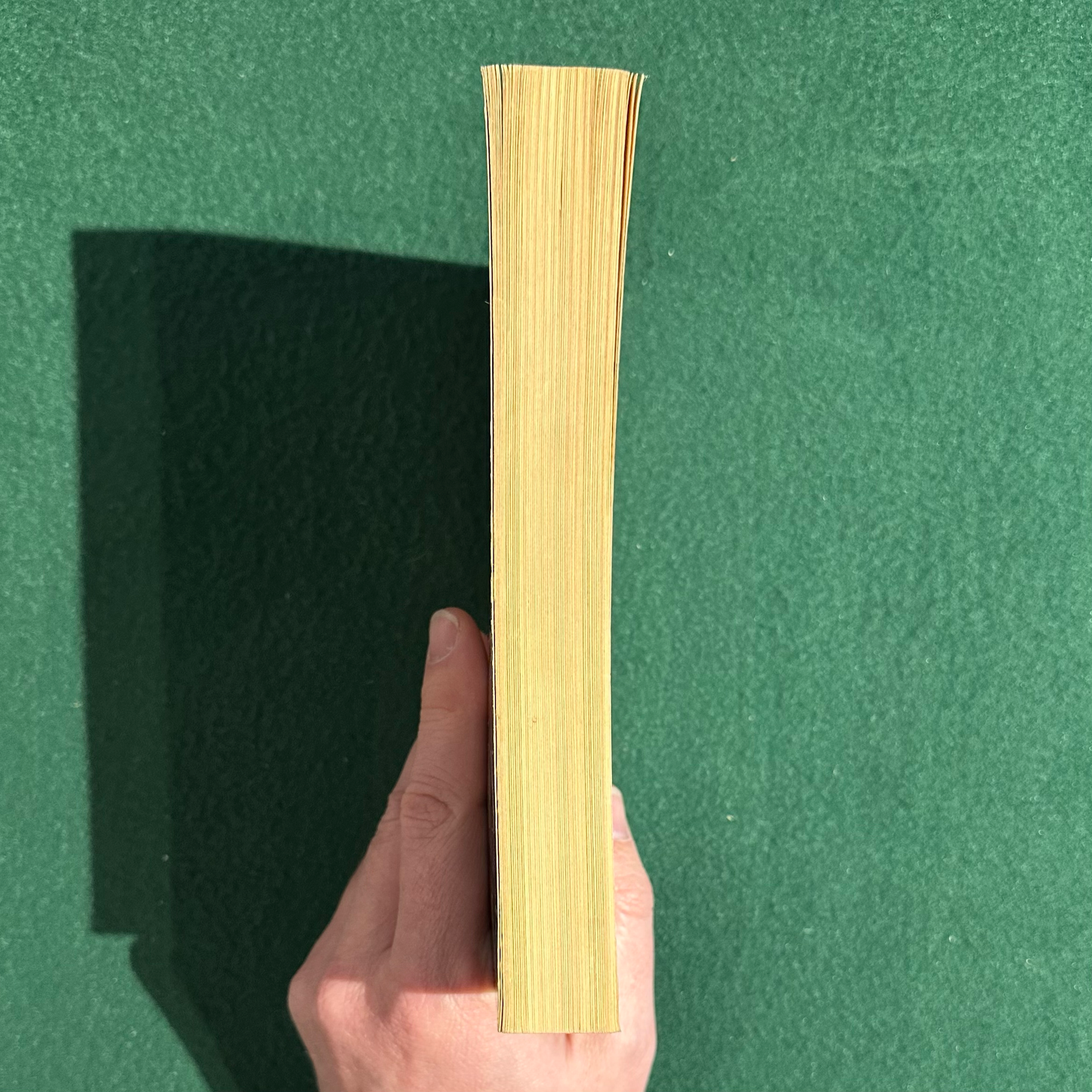 Vintage Fiction Paperback: Bret Easton Ellis - American Psycho SECOND PRINTING