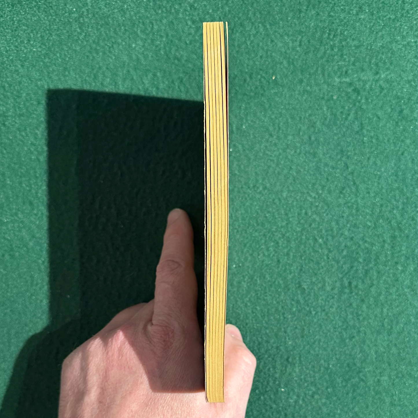 Vintage Fiction Paperback: William Kotzwinkle - The Leopard's Tooth SIGNED