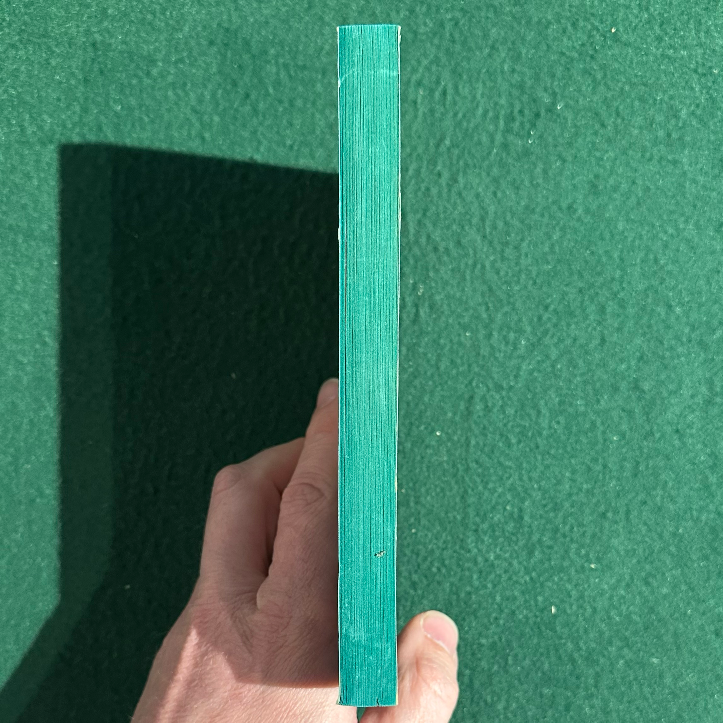 Vintage Fantasy Paperback: Flashing Swords #3: Warriors and Wizards, Edited by Lin Carter FIRST PRINTING