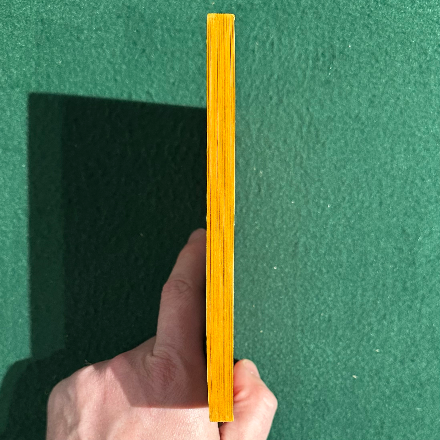 Vintage Fantasy Paperback: Curt Clark - Anarchaos FIRST PRINTING