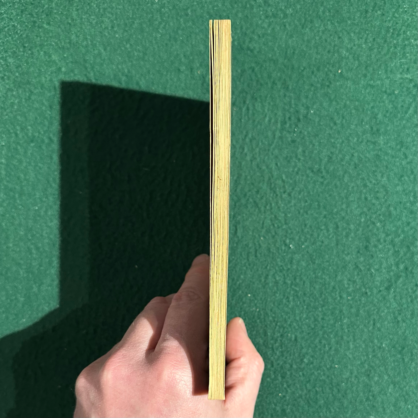 Vintage Poetry Paperback: T S Eliot - The Waste Land and Other Poems