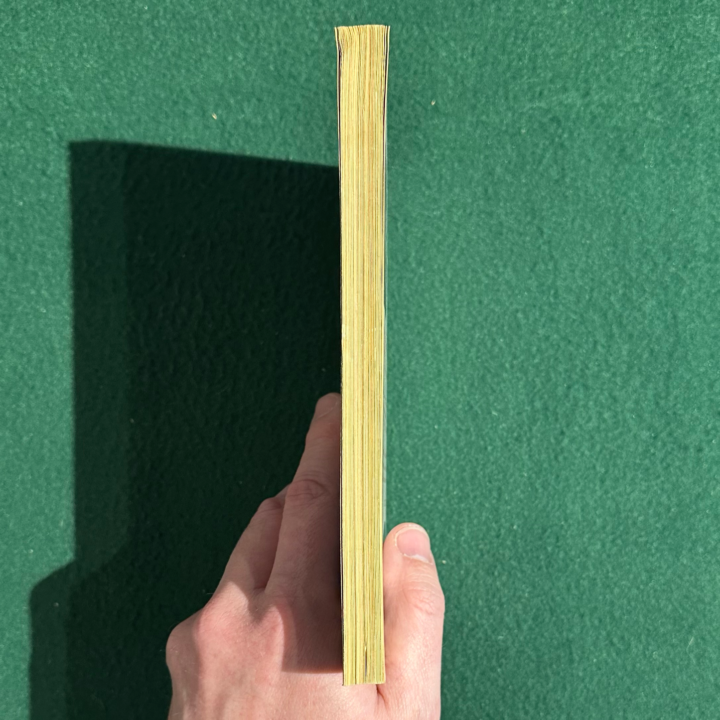 Vintage Poetry Paperback: Raymond Carver - Fires: Essays, Poems, Stories FIRST PRINT