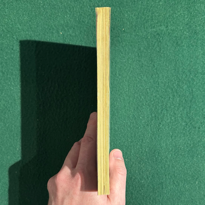 Vintage Poetry Paperback: Raymond Carver - Fires: Essays, Poems, Stories FIRST PRINT